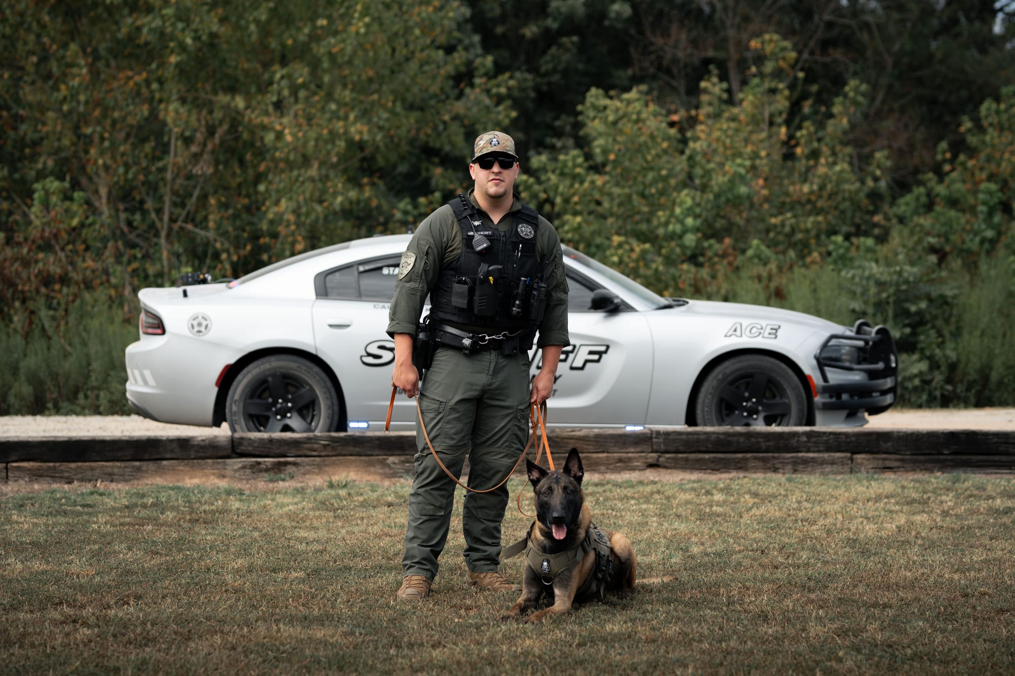 Sheriff K9 unit