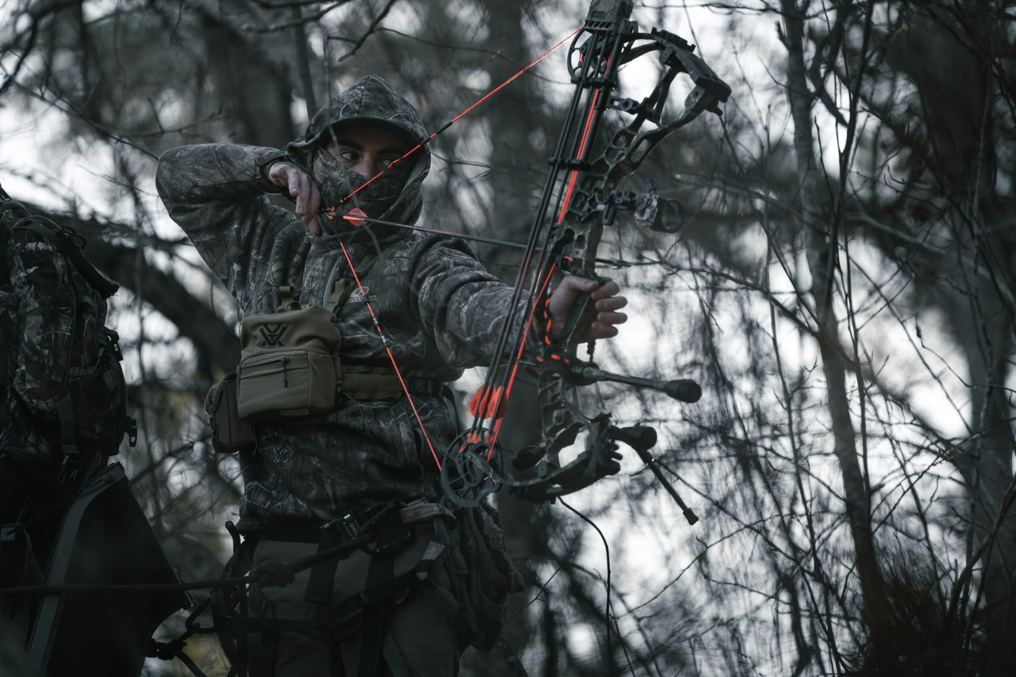 Hunter drawing bow from treestand