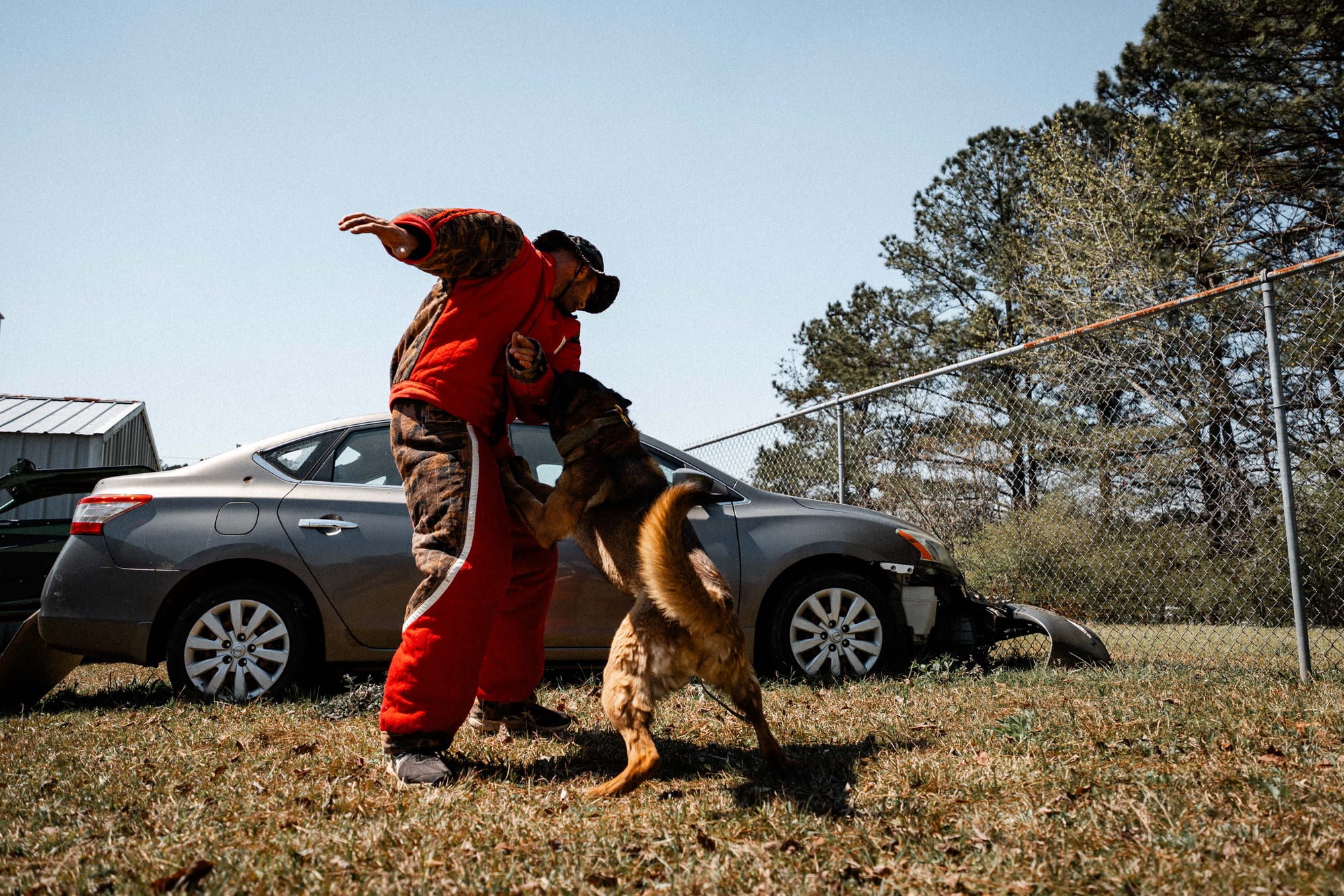 Public safety and K9