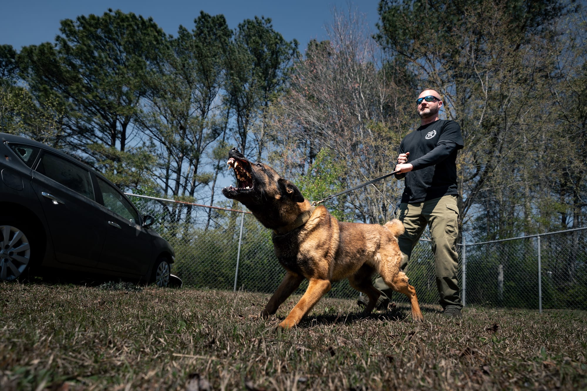 K9 training exercise