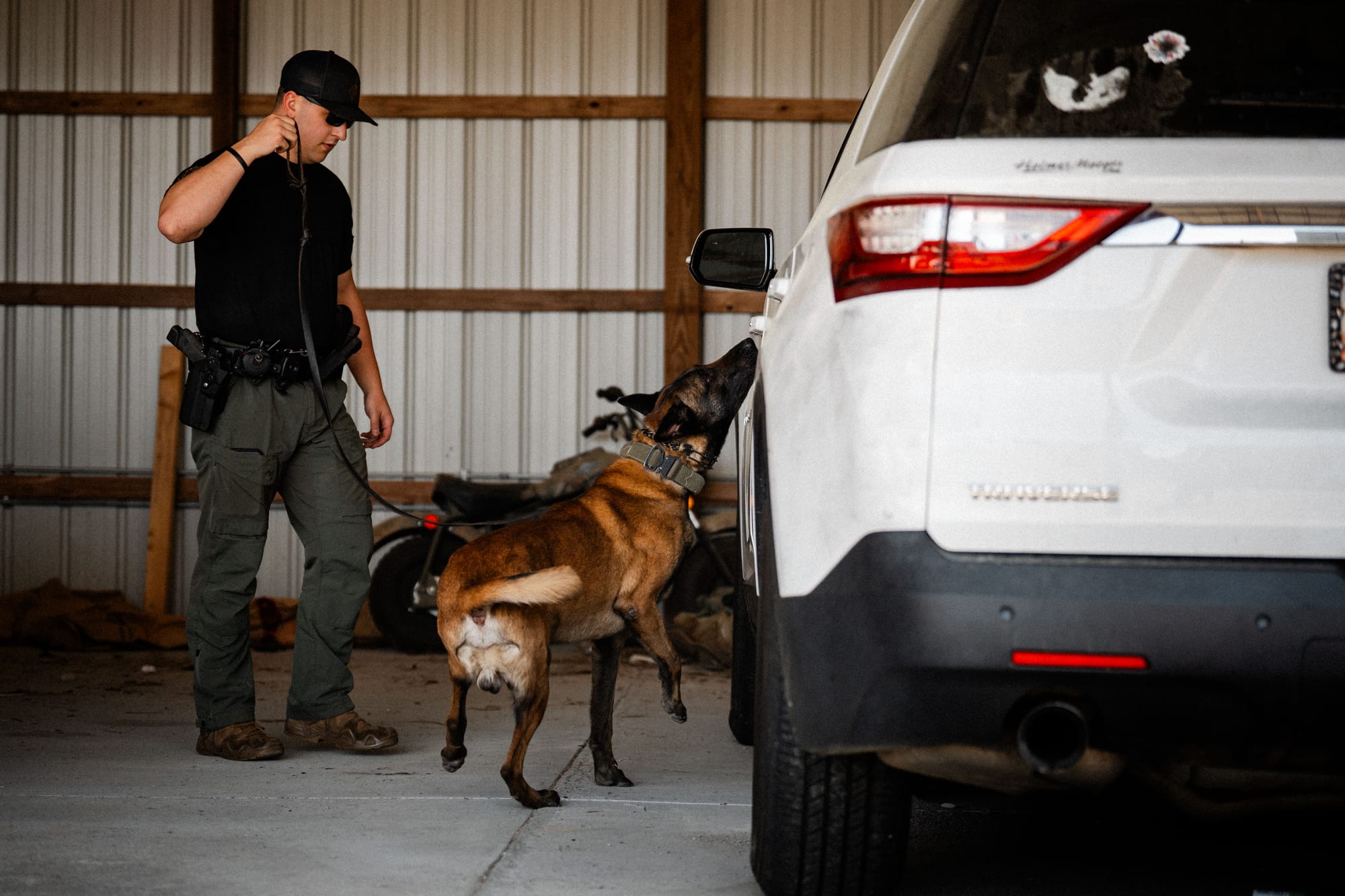 K9 unit searching a vehicle
